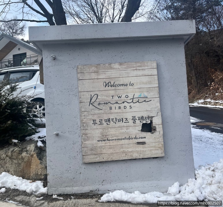 투로맨틱버즈 이미지