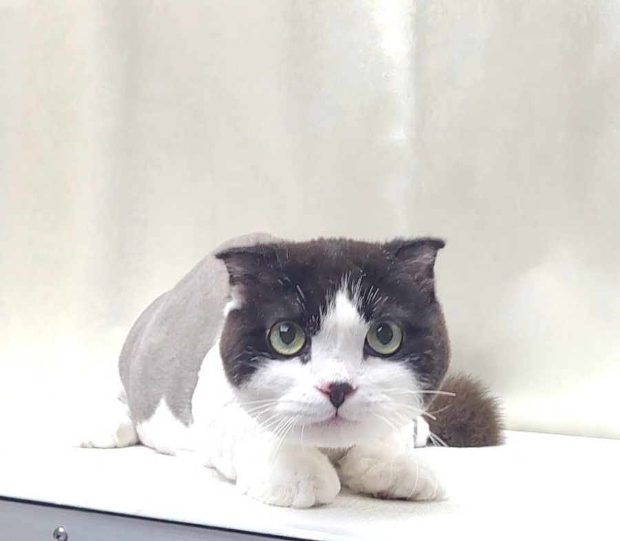 청라원 이미지