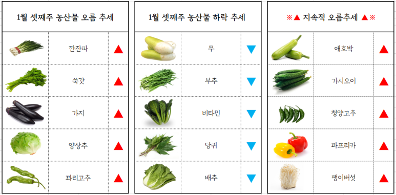 부산유통 이미지