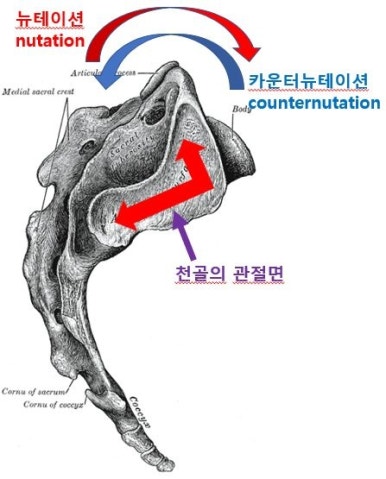 카운트PT 이미지