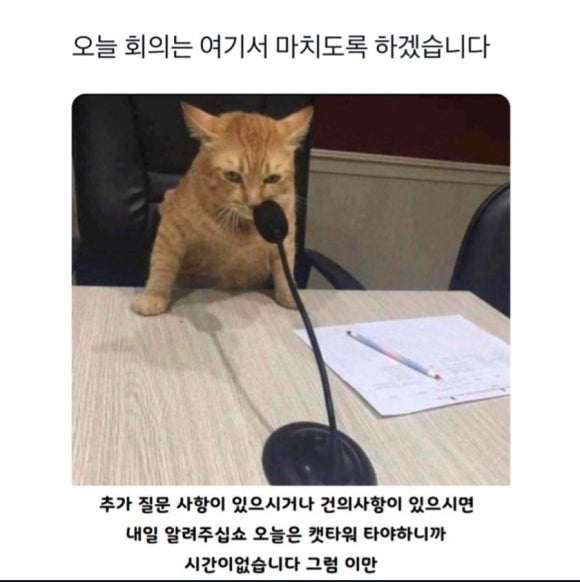 토모가 이미지
