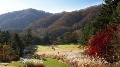 강산회원권거래소 이미지