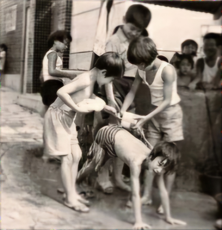 찬물도랑 이미지