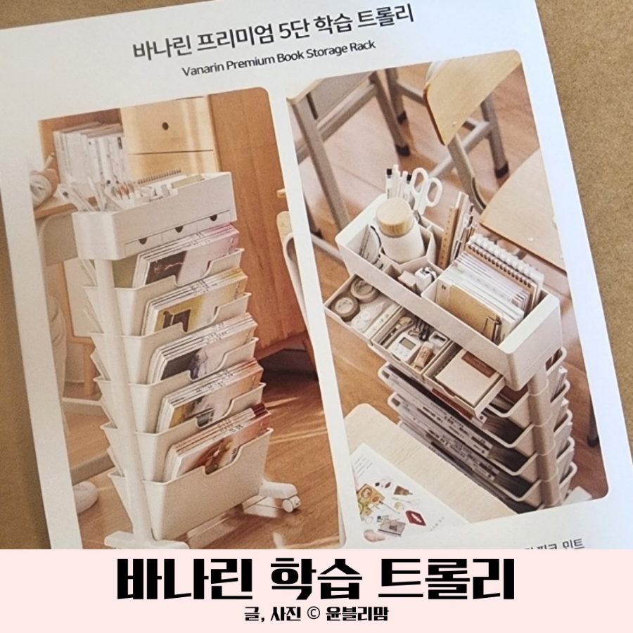 바나리 이미지