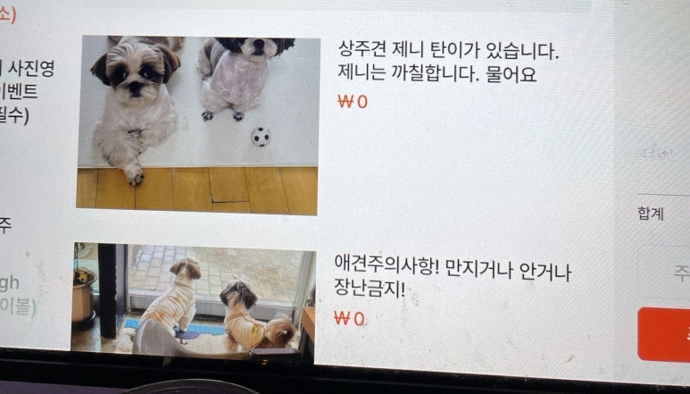 술선생잭치킨매니아 이미지