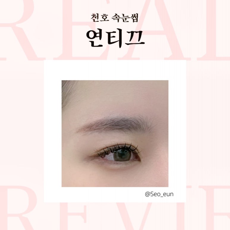 연티끄 이미지