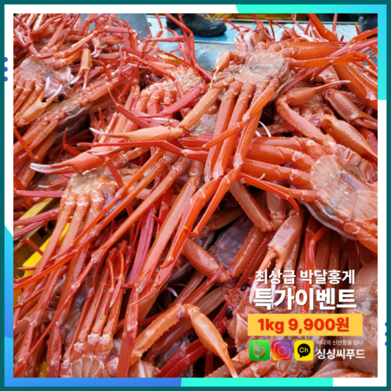 먹거리야식 이미지