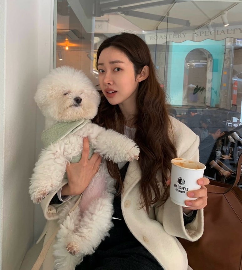에이치컴퍼니 이미지