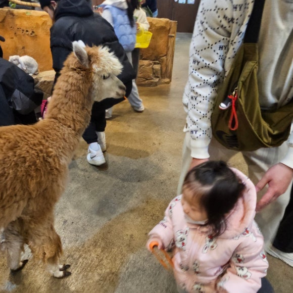 라라쥬카페 이미지