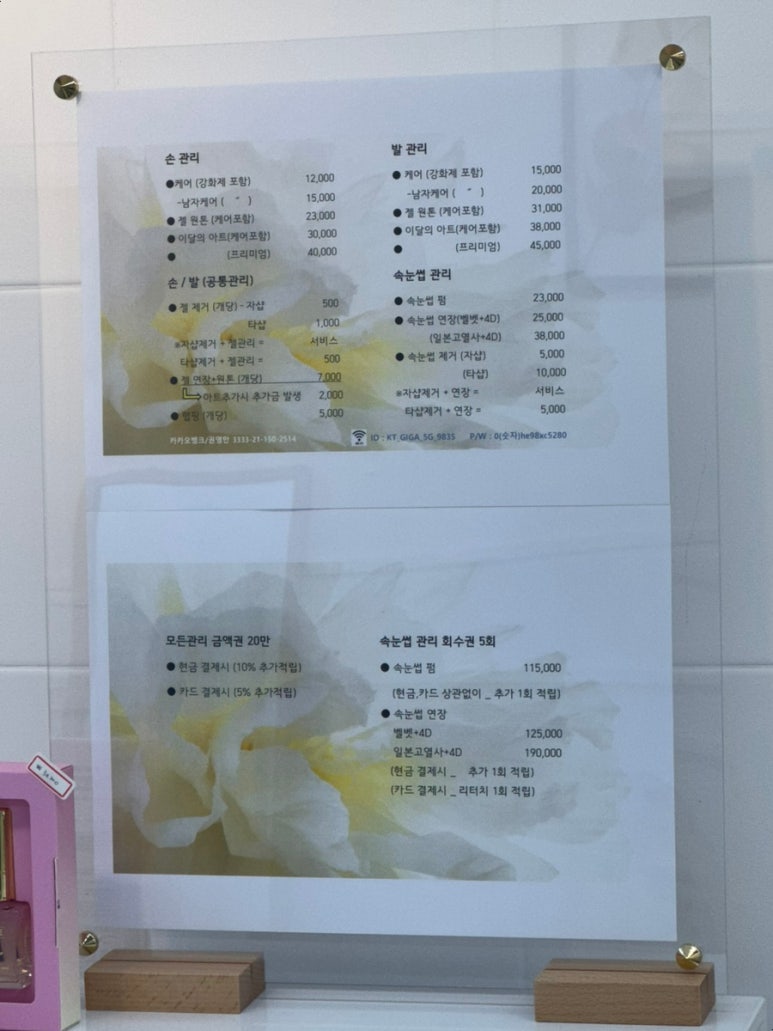 엔12 이미지