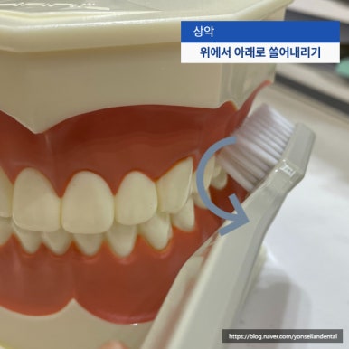 연세이안치과 이미지