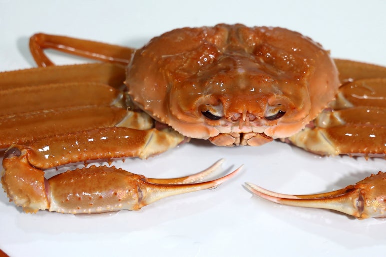 영덕대게 이미지