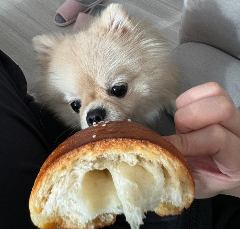 아뱅베이커리 이미지