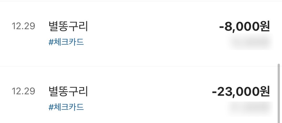 별똥구리 이미지