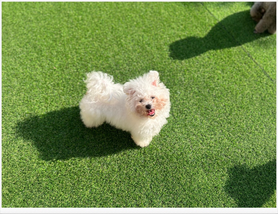 코코플레이존 이미지