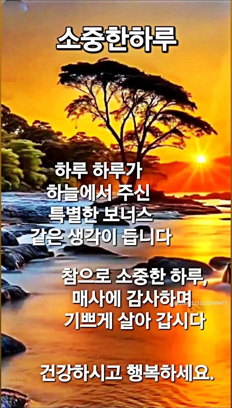 이씨미장 이미지