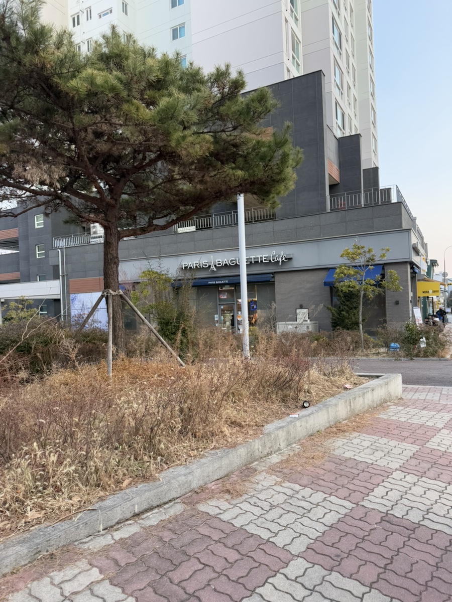 파리바게트 여수엑스포점 이미지
