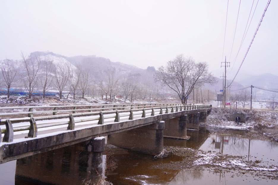 공주밤나무 이미지