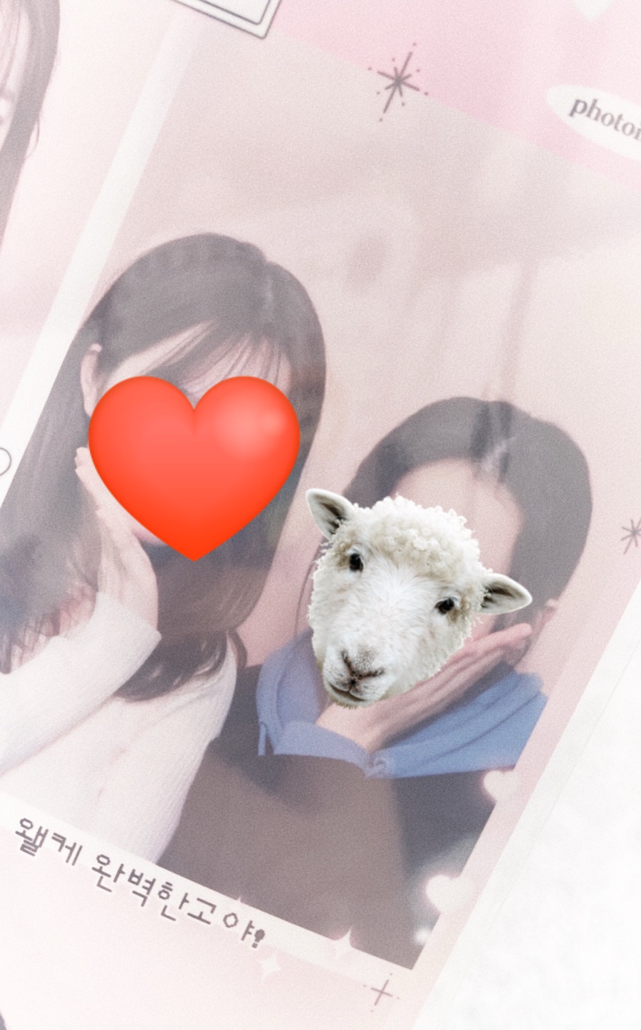 이** 이미지
