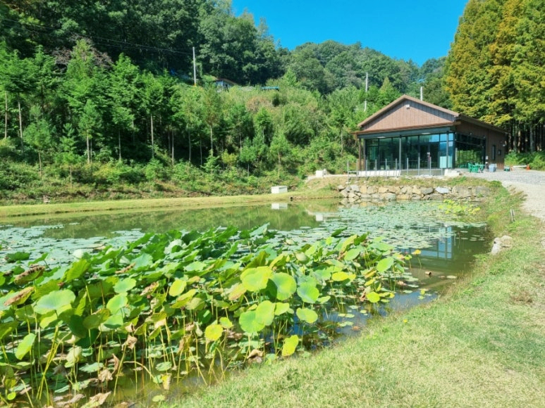 홍일상사 이미지