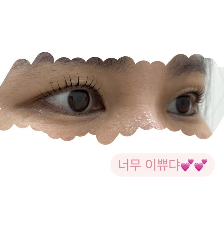 비한스 이미지