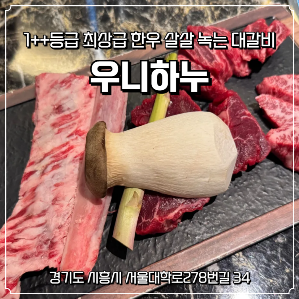 우니하누 이미지
