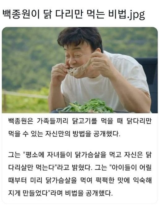 닭스 이미지