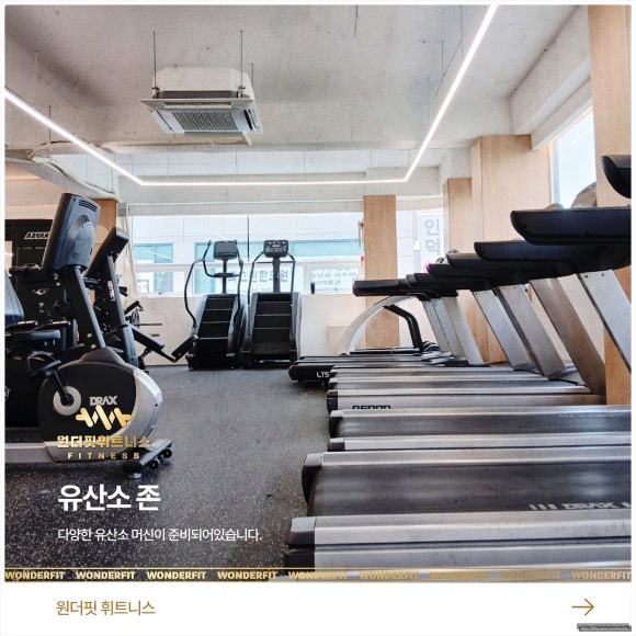 원더바디핏 이미지
