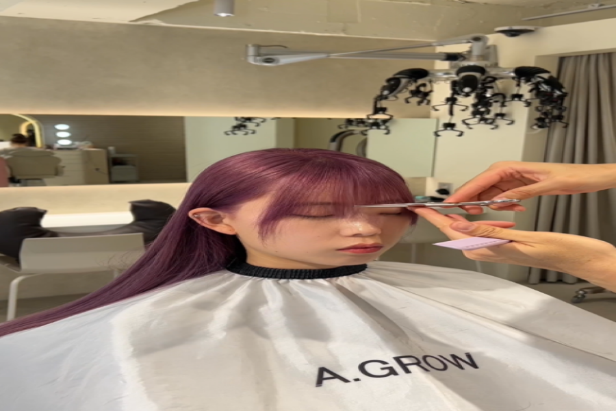 에이그로우 이미지