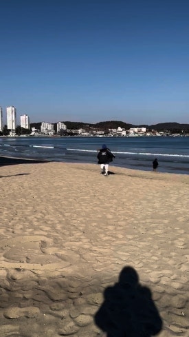 푸른동해아구찜 이미지