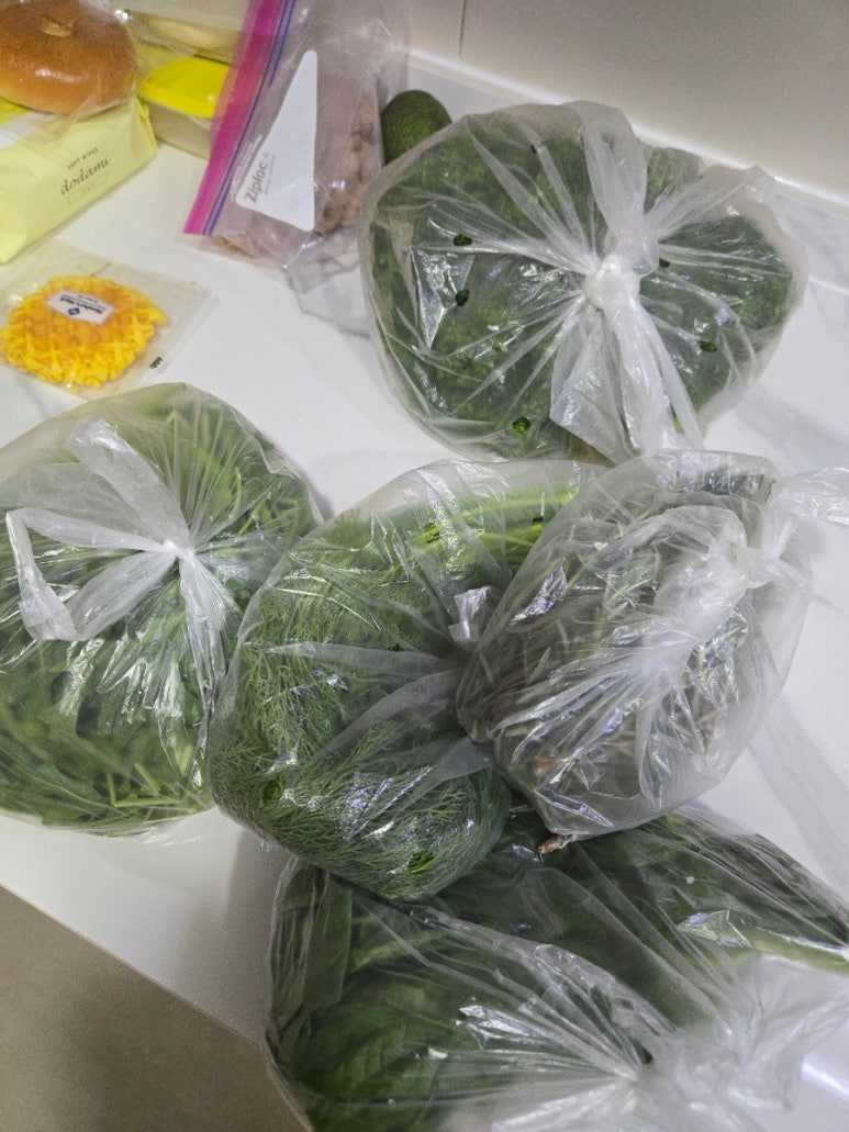 로즈마리상사 이미지
