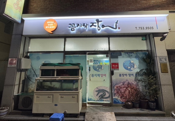 꼼지락장어 이미지