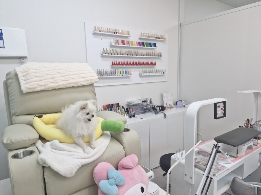 오하뷰티스튜디오 이미지