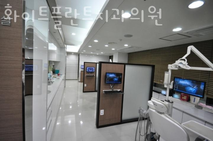 화이트플란트치과의원 이미지