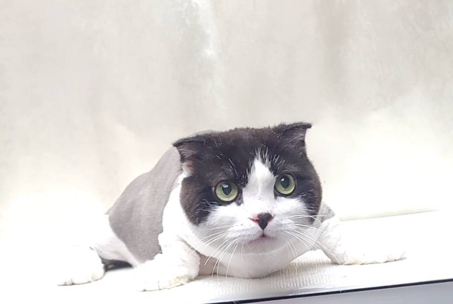 청라원 이미지