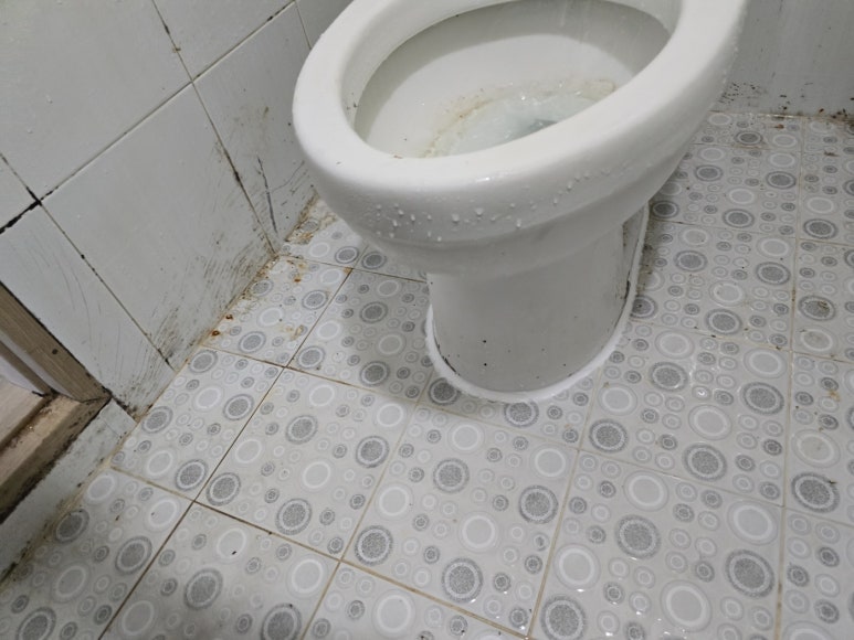 변기막힘 이미지