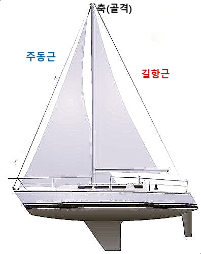 방당쥬 이미지