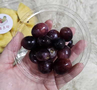 프루츠락 이미지