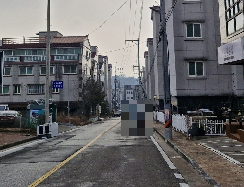 일륜월 이미지