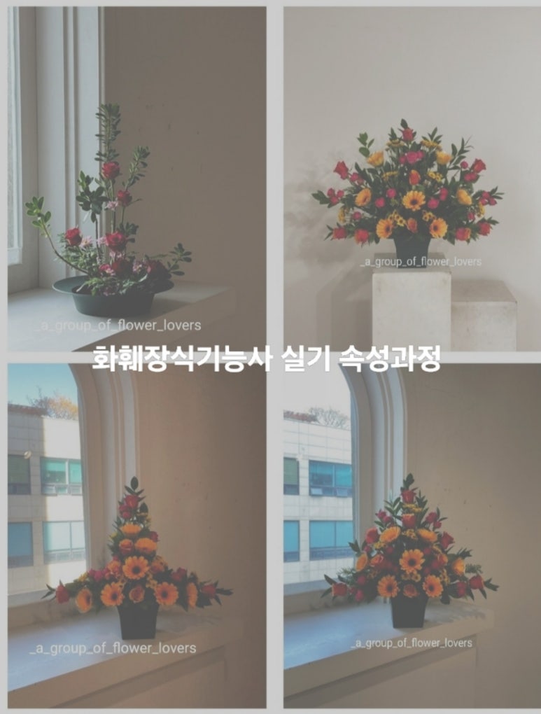 고도꽃화훼 이미지