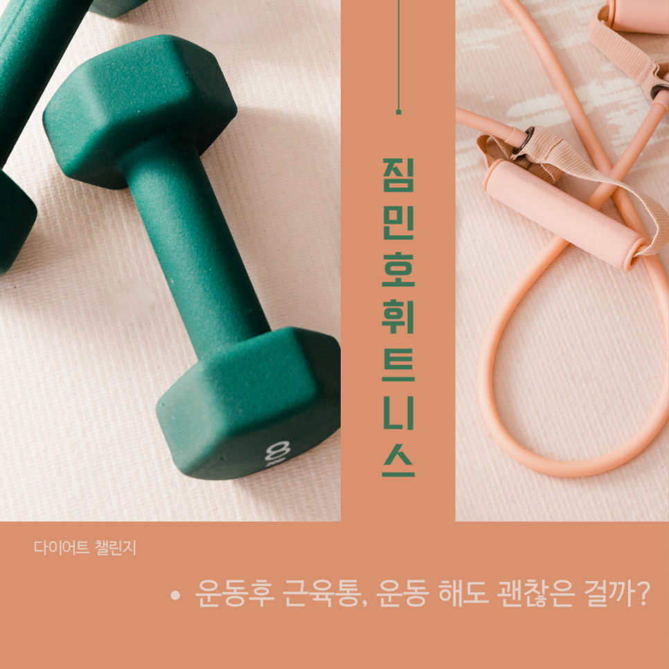 짐민호 이미지