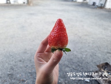 경주글램존 이미지