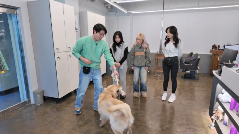 독불장군 이미지