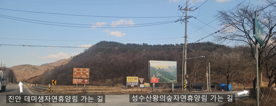 성수산 왕의숲 숲속의집 이미지