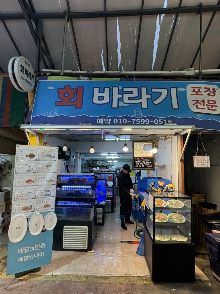 회바라기 이미지