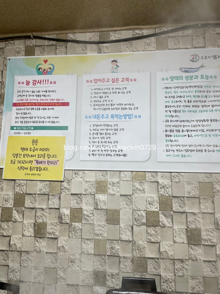 오리와생태의만남 이미지