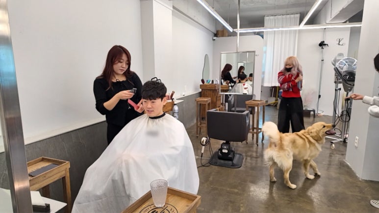 새서울미용실 이미지
