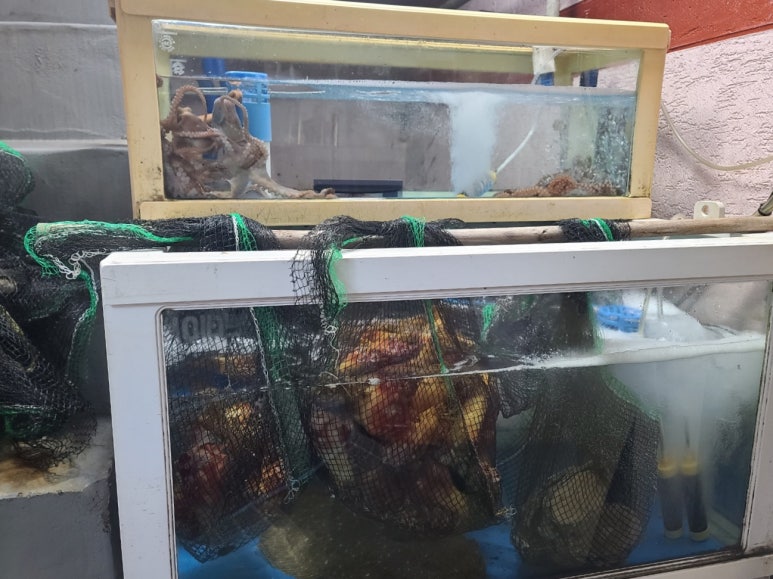 두루두루 본점 이미지