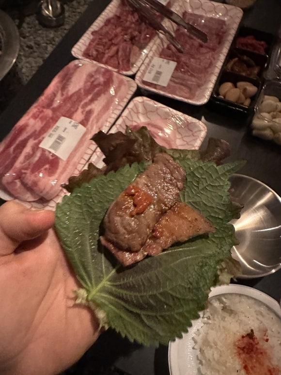 루나 캠프닉 이미지