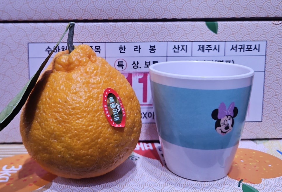 복동이 이미지